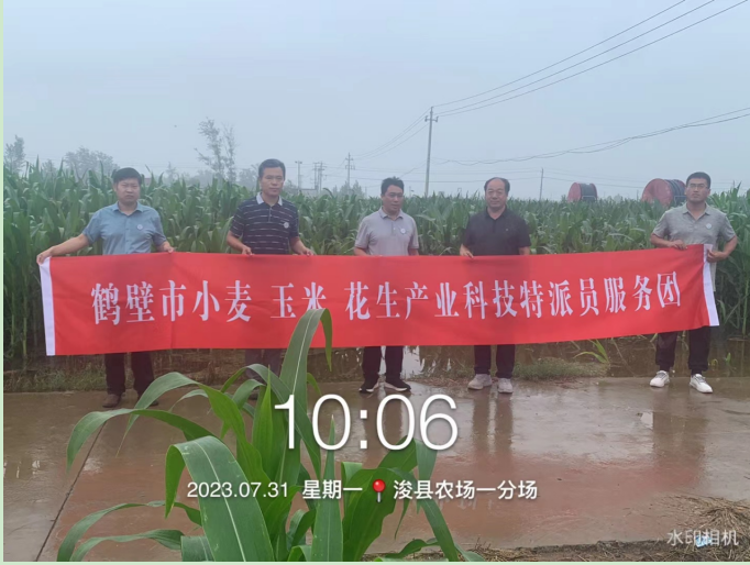 1691029466594.png