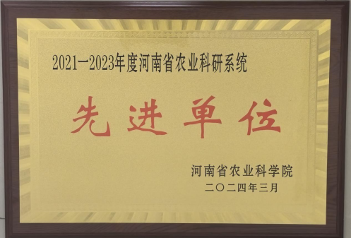 1711704910739.png